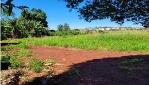 Área para incorporação em Rolândia