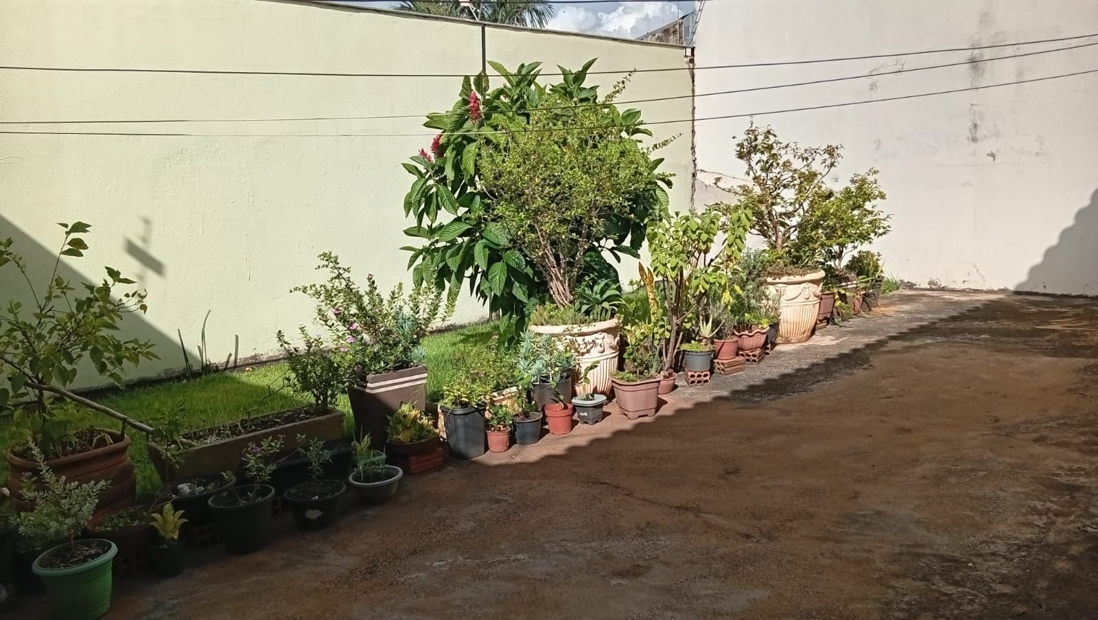 Imagens do imóveis Casa jd. Universitário