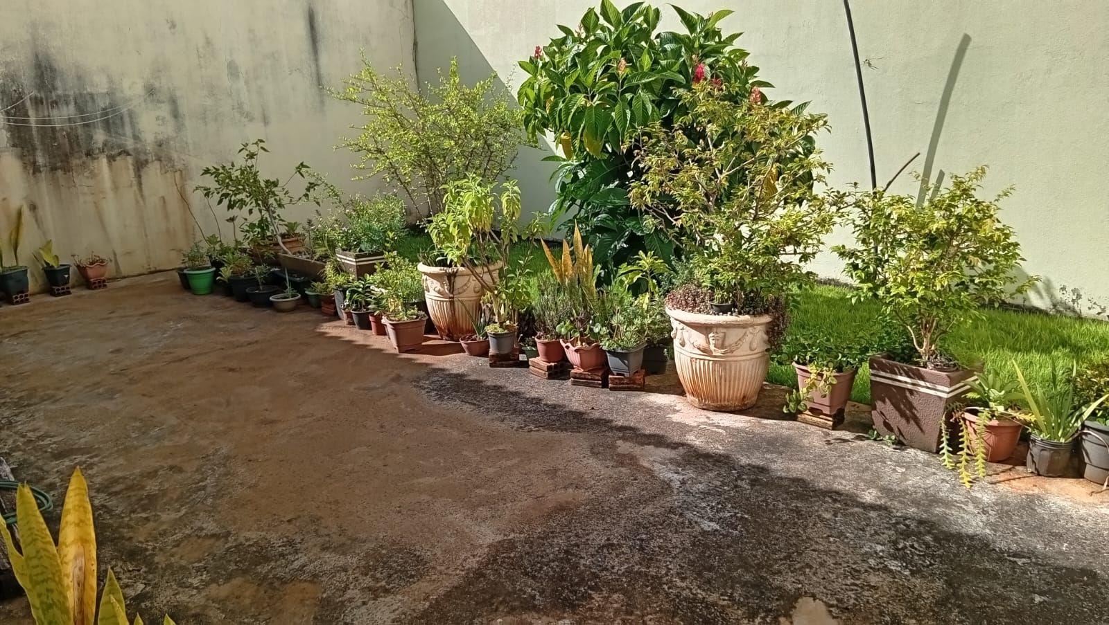 Imagens do imóveis Casa jd. Universitário