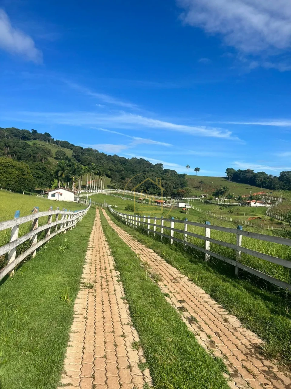 Imagens do imóveis Sitio a venda em Monte Sião