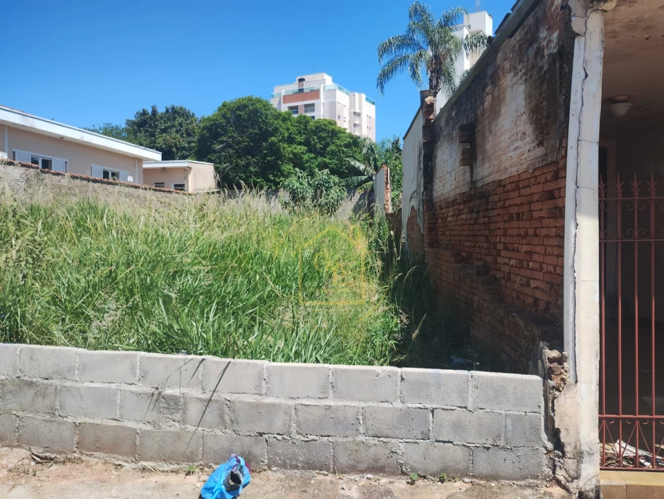 Imagens do imóveis 250 m²