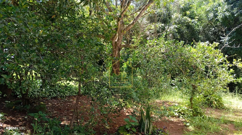 Imagens do imóveis Otima Oportunidade