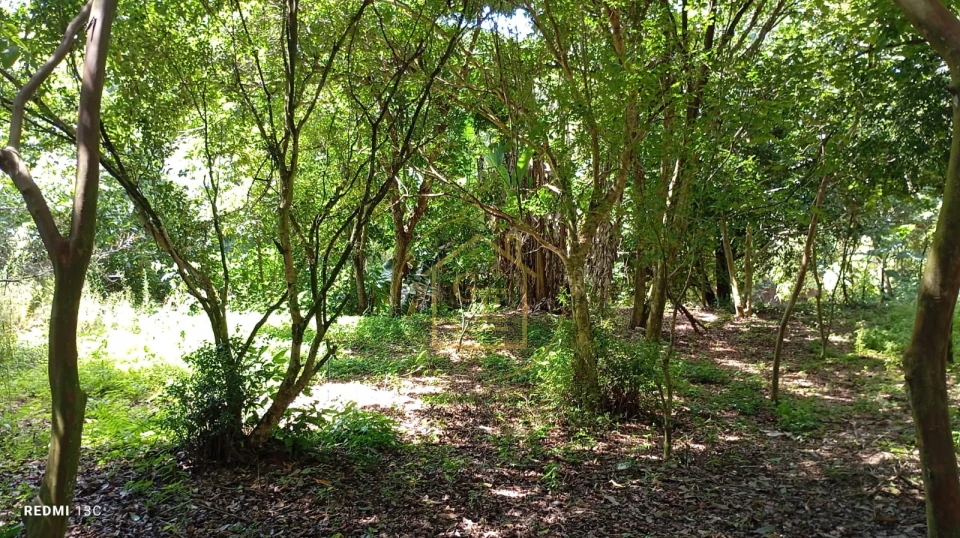 Imagens do imóveis Otima Oportunidade