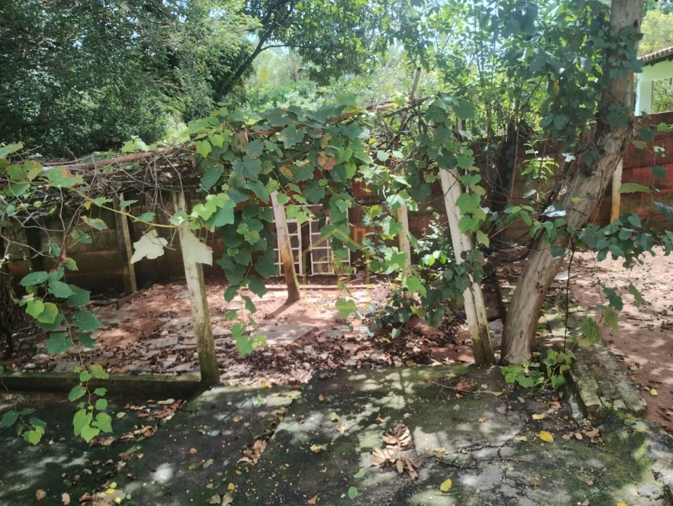 Imagens do imóveis Chacara a venda