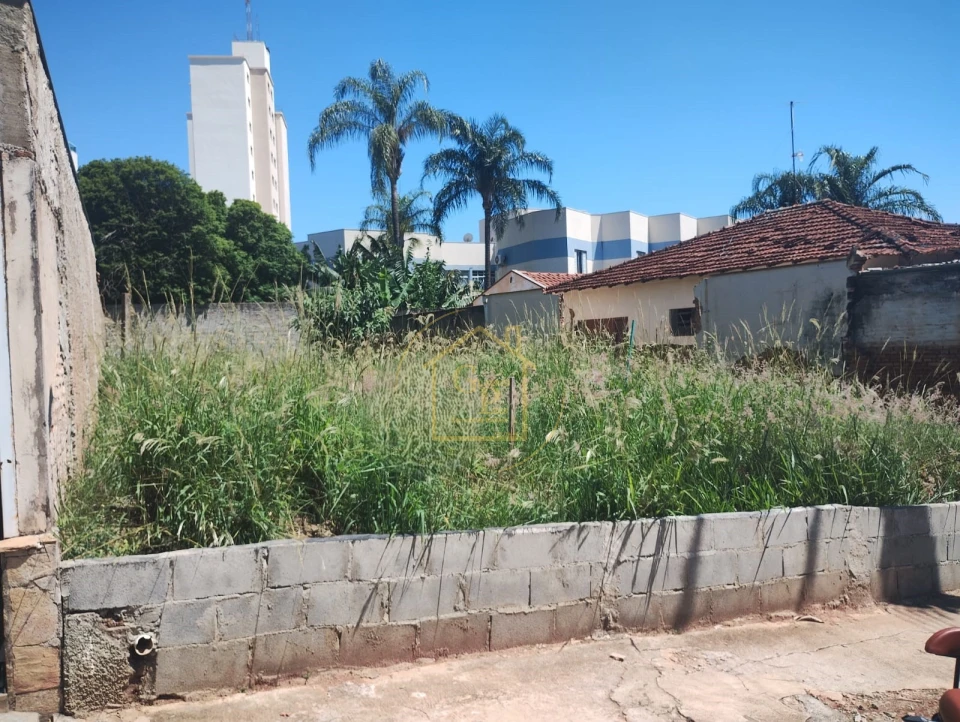 Imagens do imóveis 250 m²