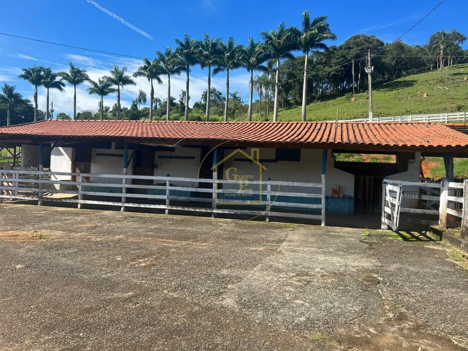 Imagens do imóveis Sitio a venda em Monte Sião