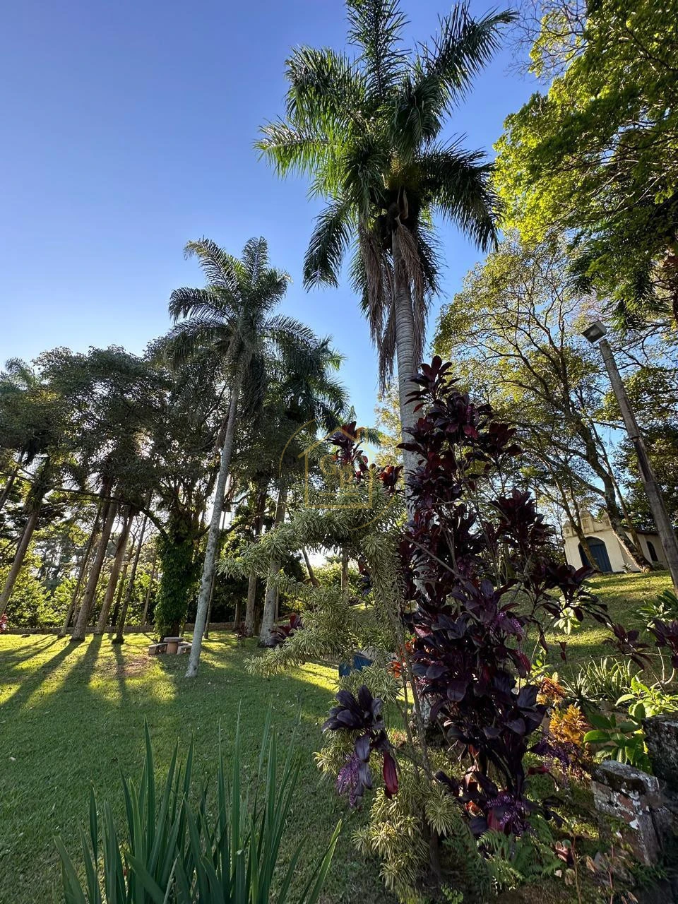Imagens do imóveis FAZENDA À VENDA – 2,5 ALQUEIRES