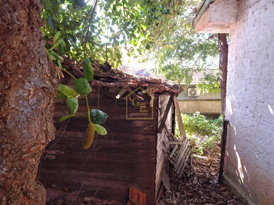 Imagens do imóveis Duas Casas no Mesmo Terreno
