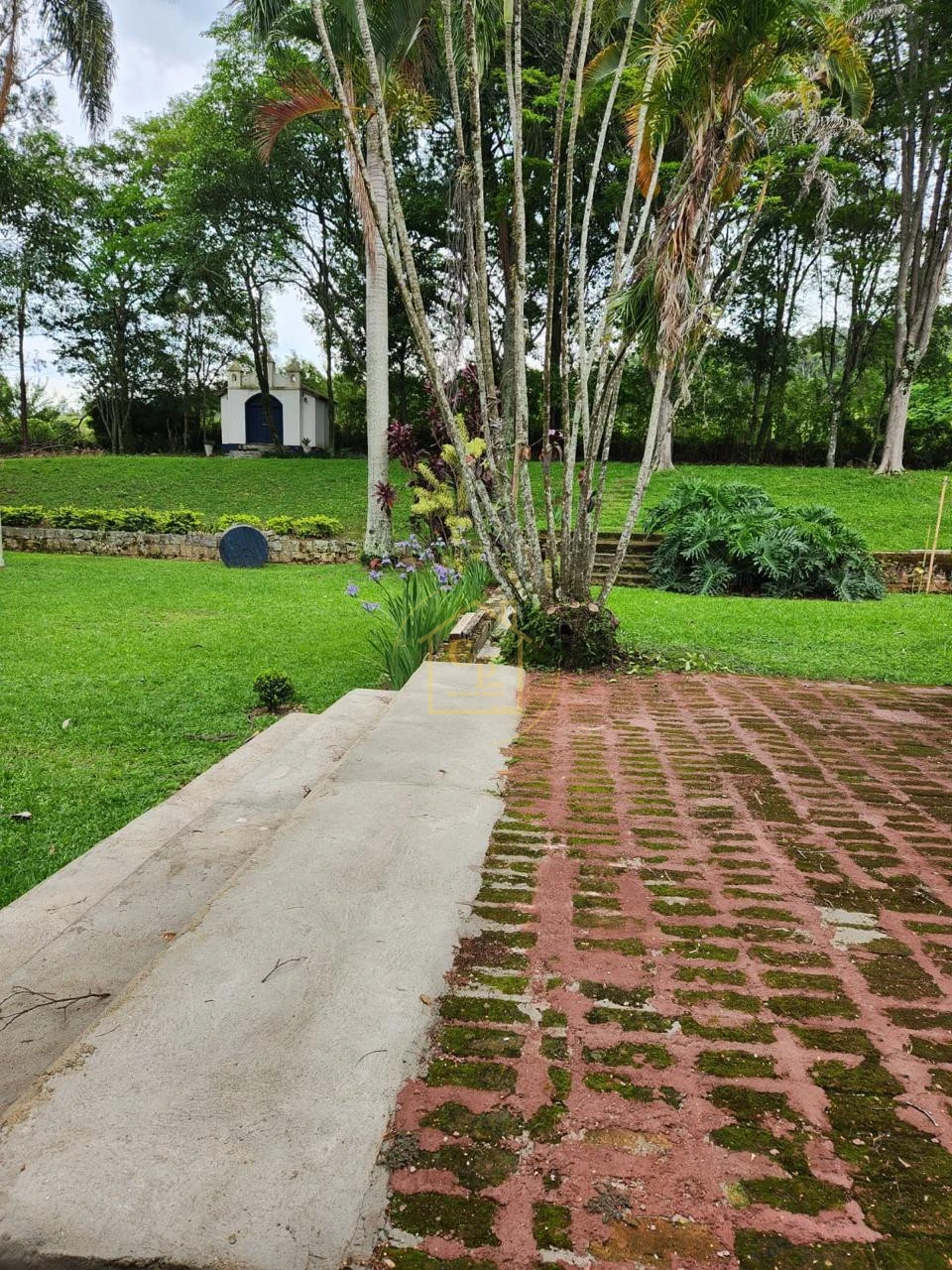 Imagens do imóveis FAZENDA À VENDA – 2,5 ALQUEIRES