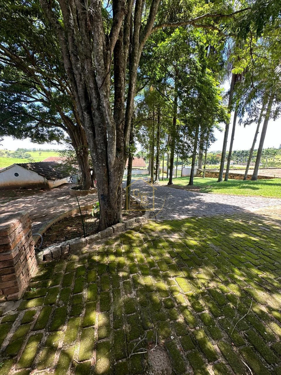 Imagens do imóveis FAZENDA À VENDA – 2,5 ALQUEIRES