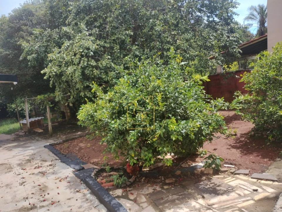 Imagens do imóveis Chacara a venda