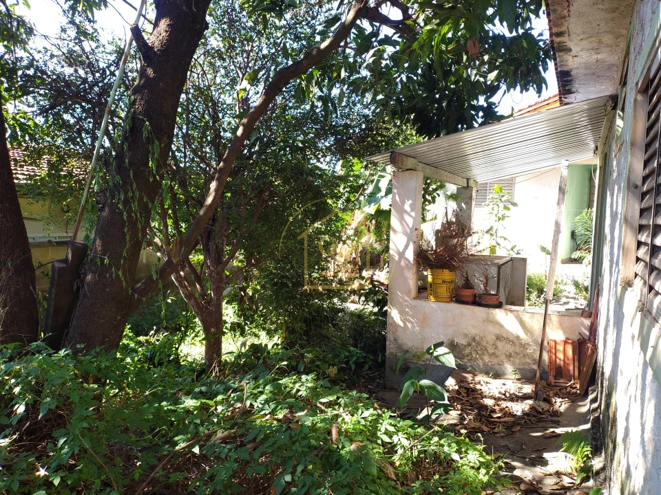 Imagens do imóveis Duas Casas no Mesmo Terreno