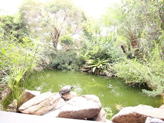 Imagens do imóveis "Belíssima Chácara"