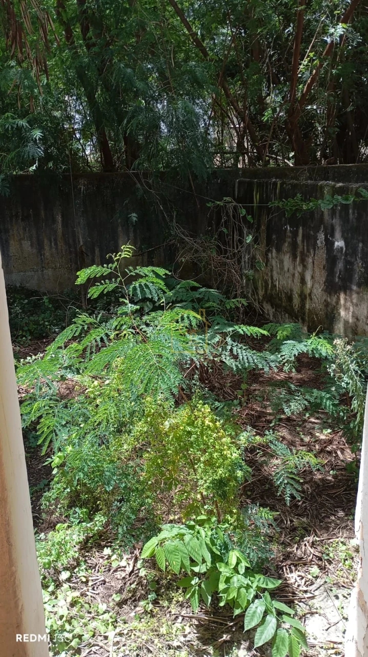 Imagens do imóveis Casa para aluguel no centro