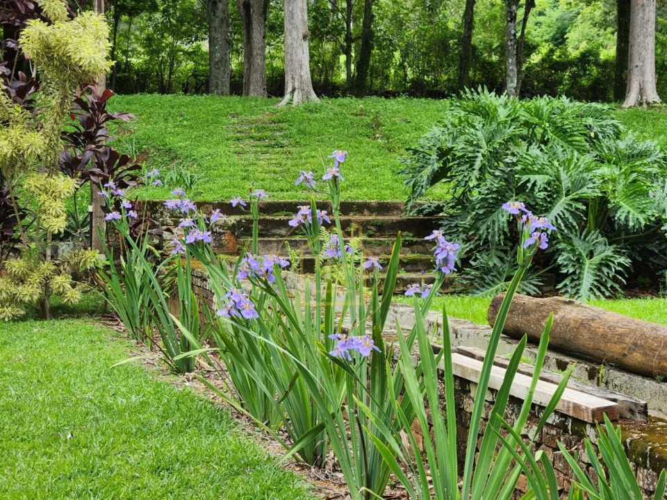 Imagens do imóveis FAZENDA À VENDA – 2,5 ALQUEIRES