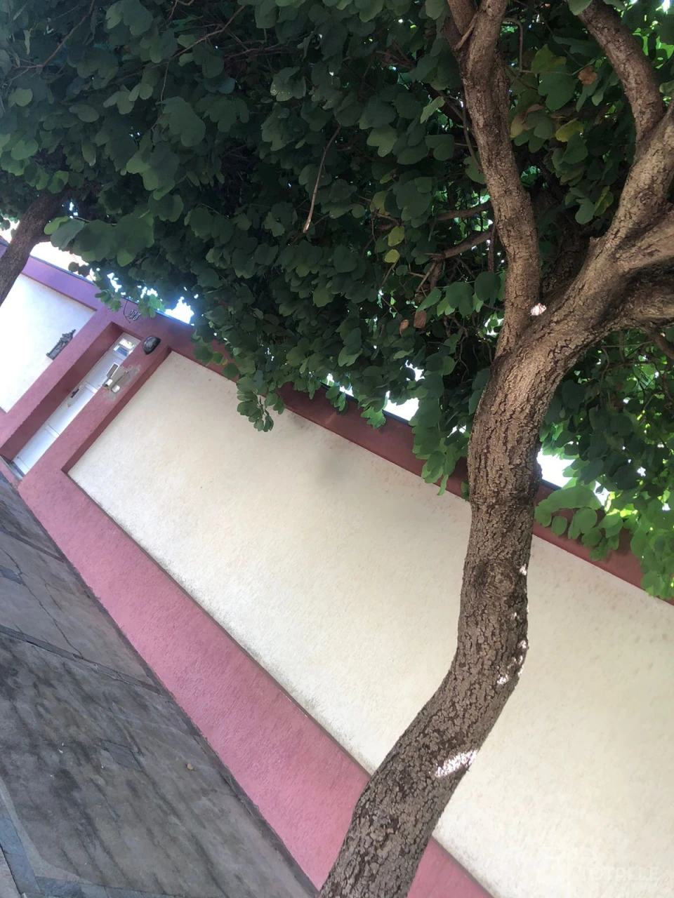 Aluga-se Apartamento no Jd Guanabara Imagens do imóveis Aluga-se Apartamento no Jd Guanabara