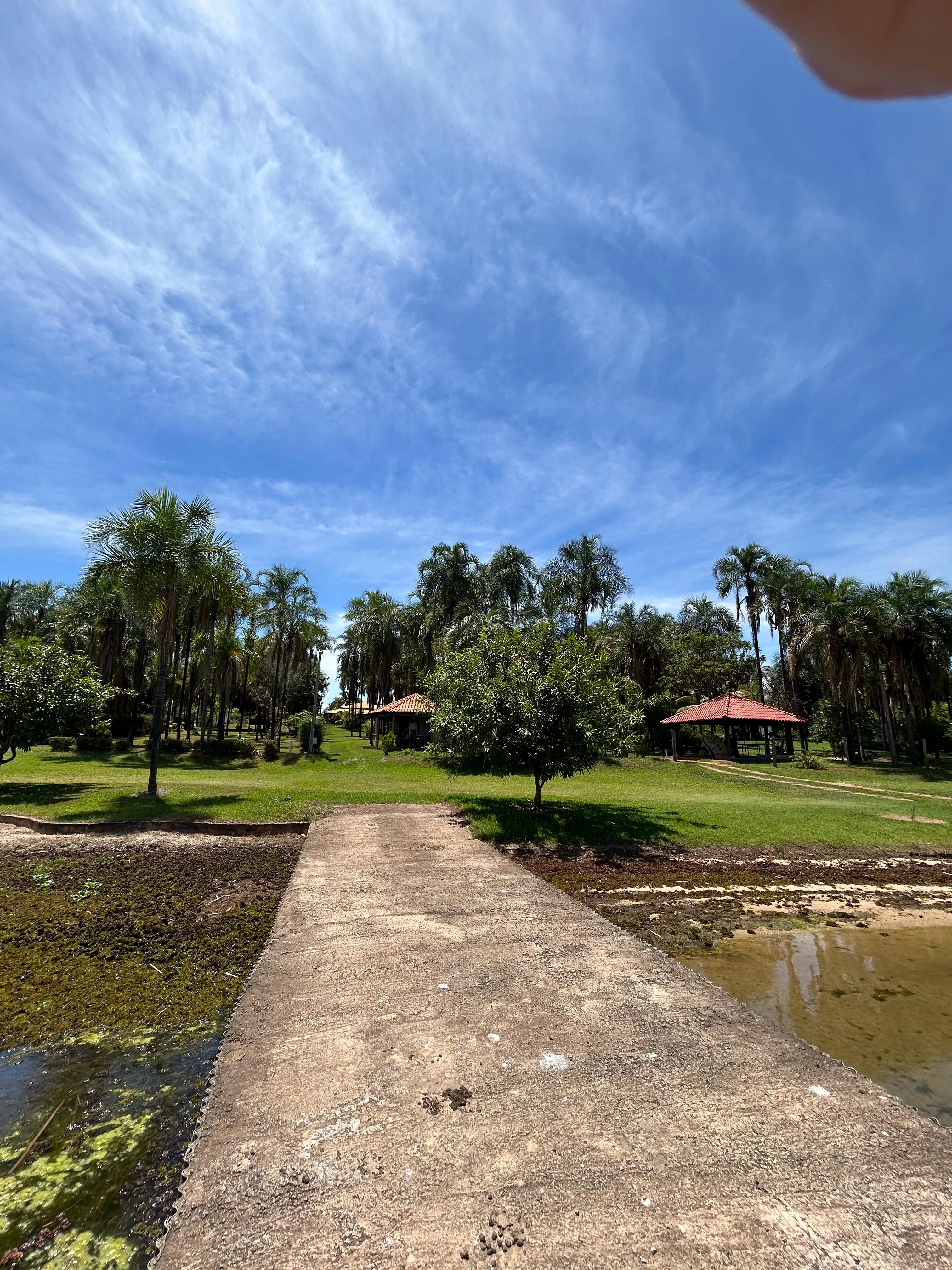 Imagens do imóveis Rancho a Venda no Belvedere