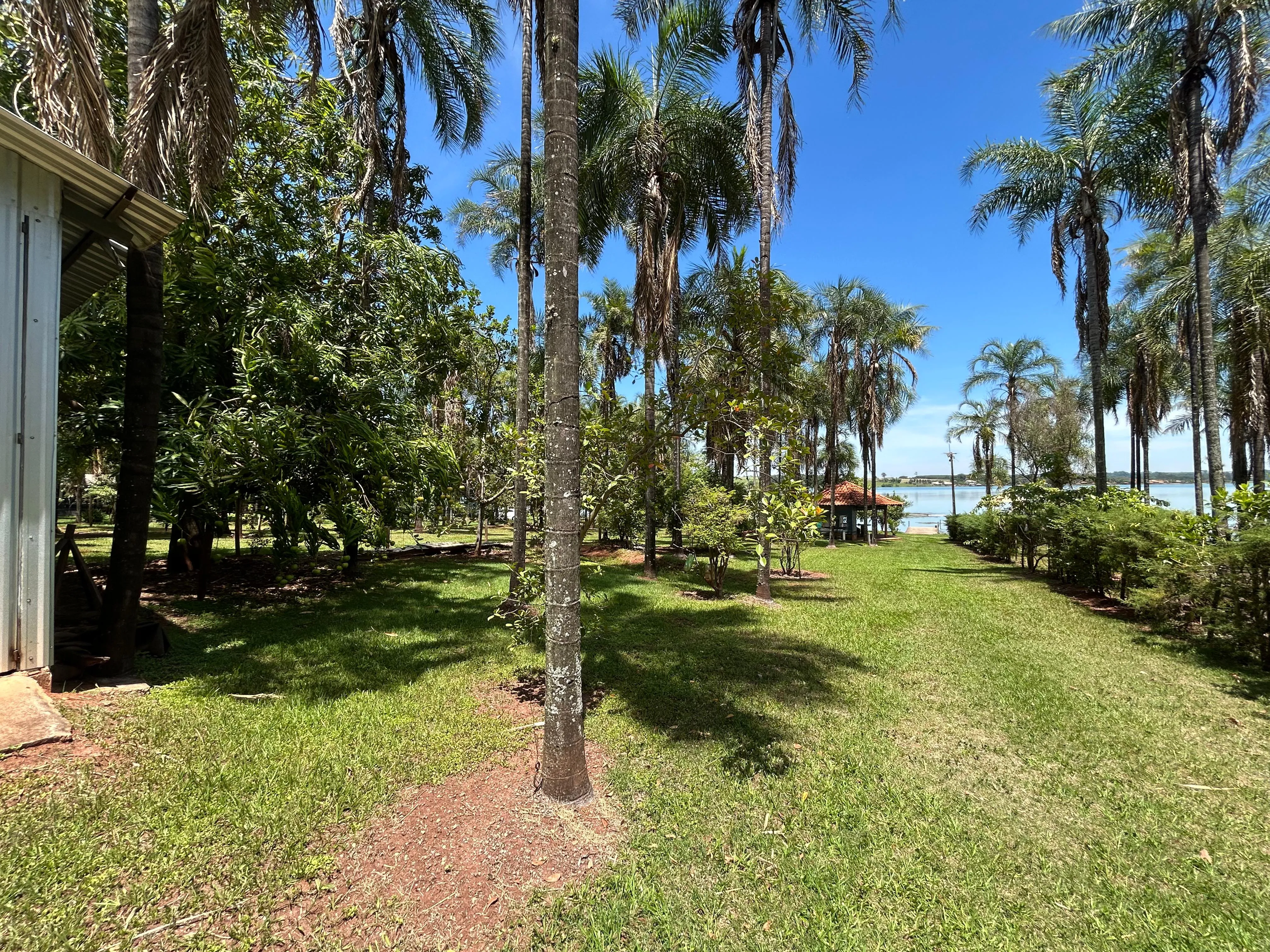 Imagens do imóveis Rancho a Venda no Belvedere