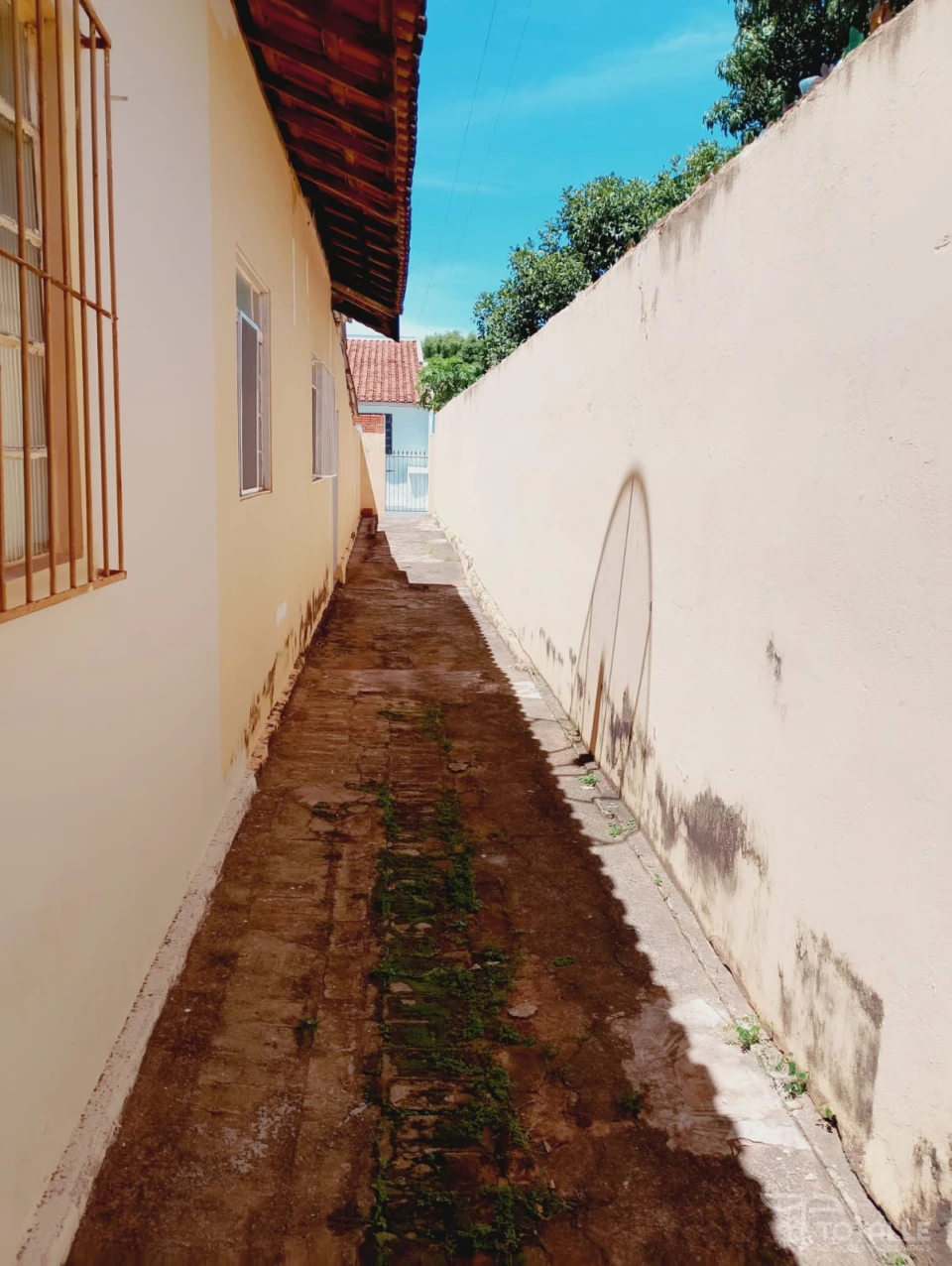 Imagens do imóveis Aluga-se Casa na Vila Fátima