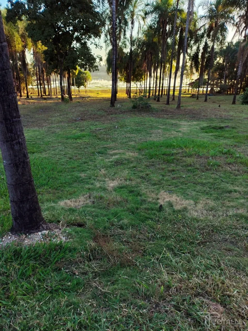 Imagens do imóveis Rancho à Venda no condomínio Belvedere