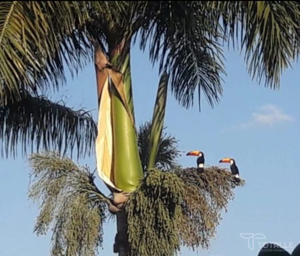 Imagens do imóveis Rancho a Venda no Condomínio Belvedere
