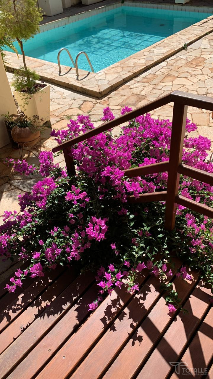 Imagens do imóveis Casa Á Venda Centro Penápolis