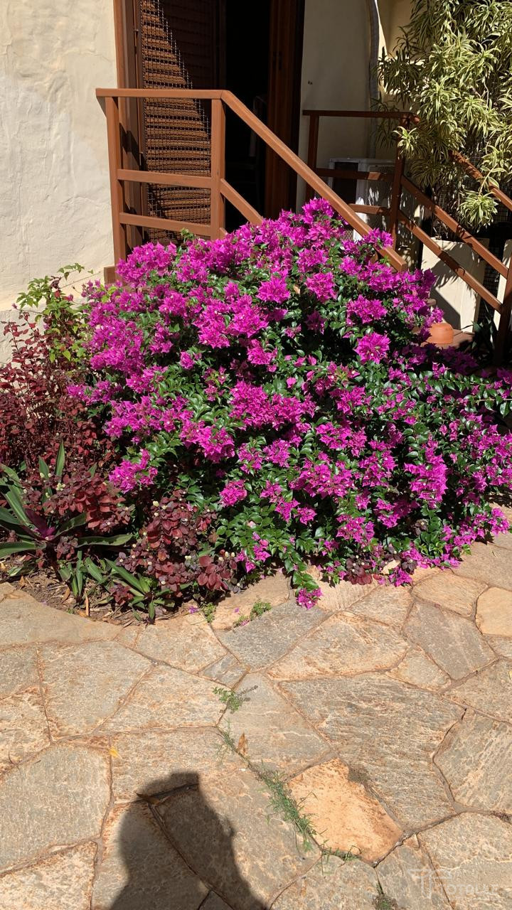 Imagens do imóveis Casa Á Venda Centro Penápolis