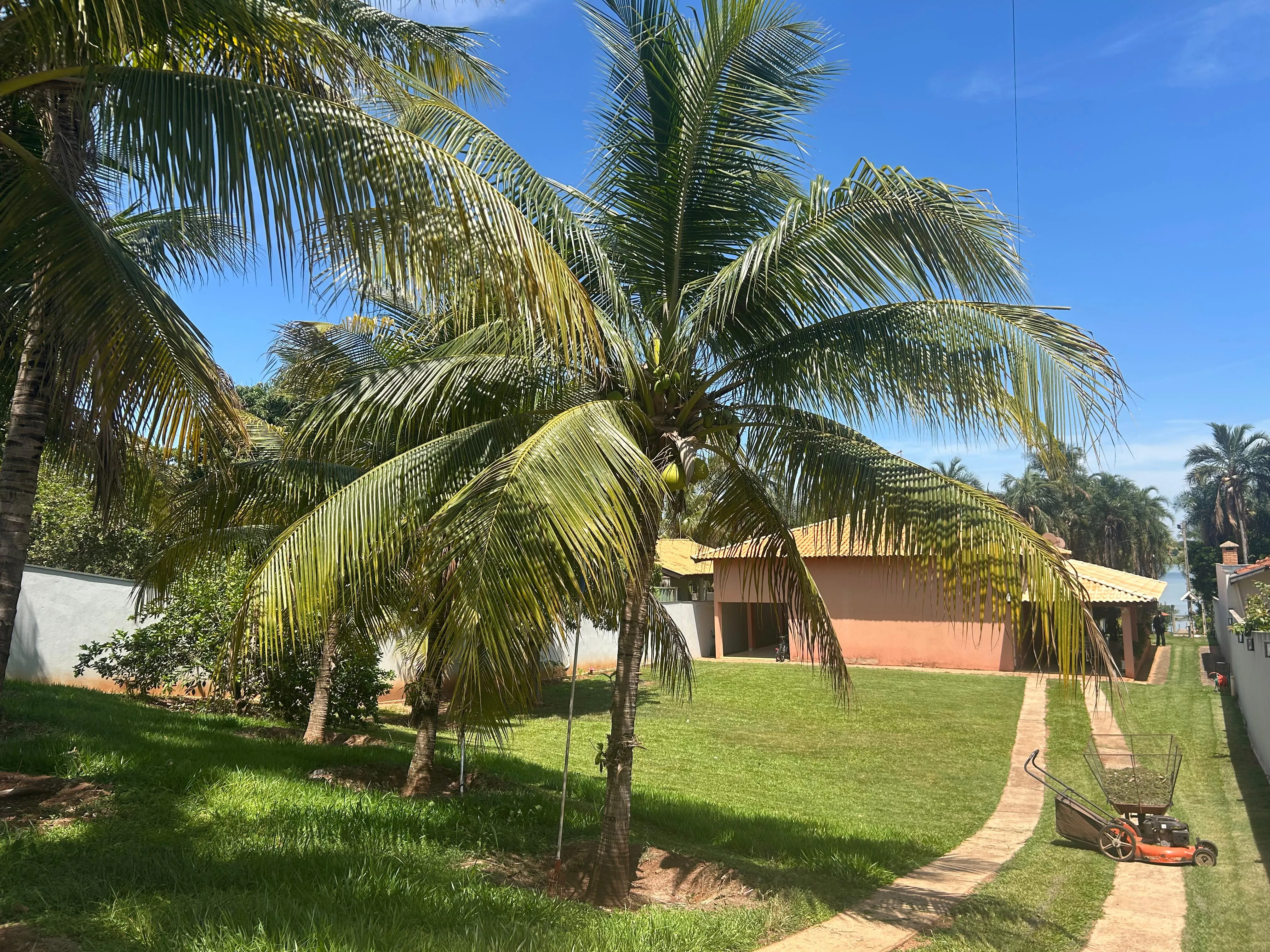 Imagens do imóveis Rancho a Venda no Belvedere