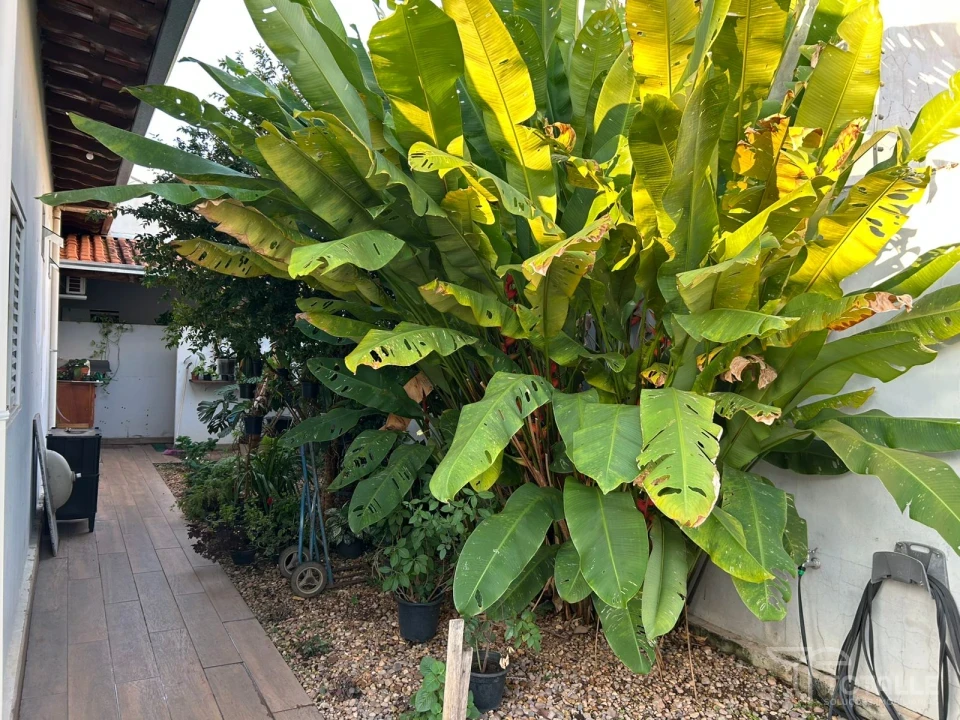 Imagens do imóveis Casa a Veda no Jardim Shangrilá