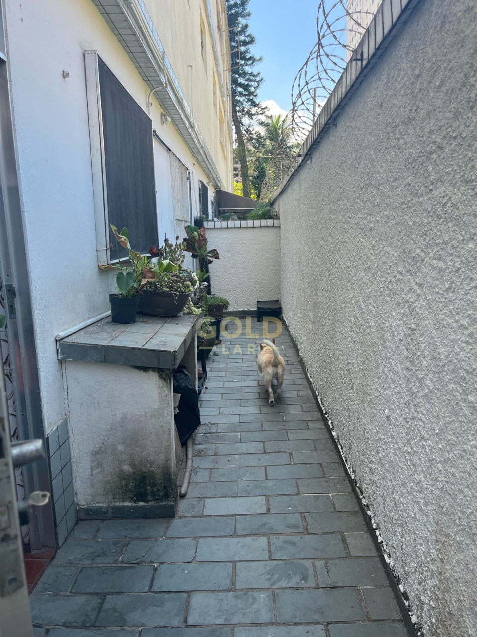 Imagens do imóveis Apartamento Á Venda Cond. Aida Giuzio Santos