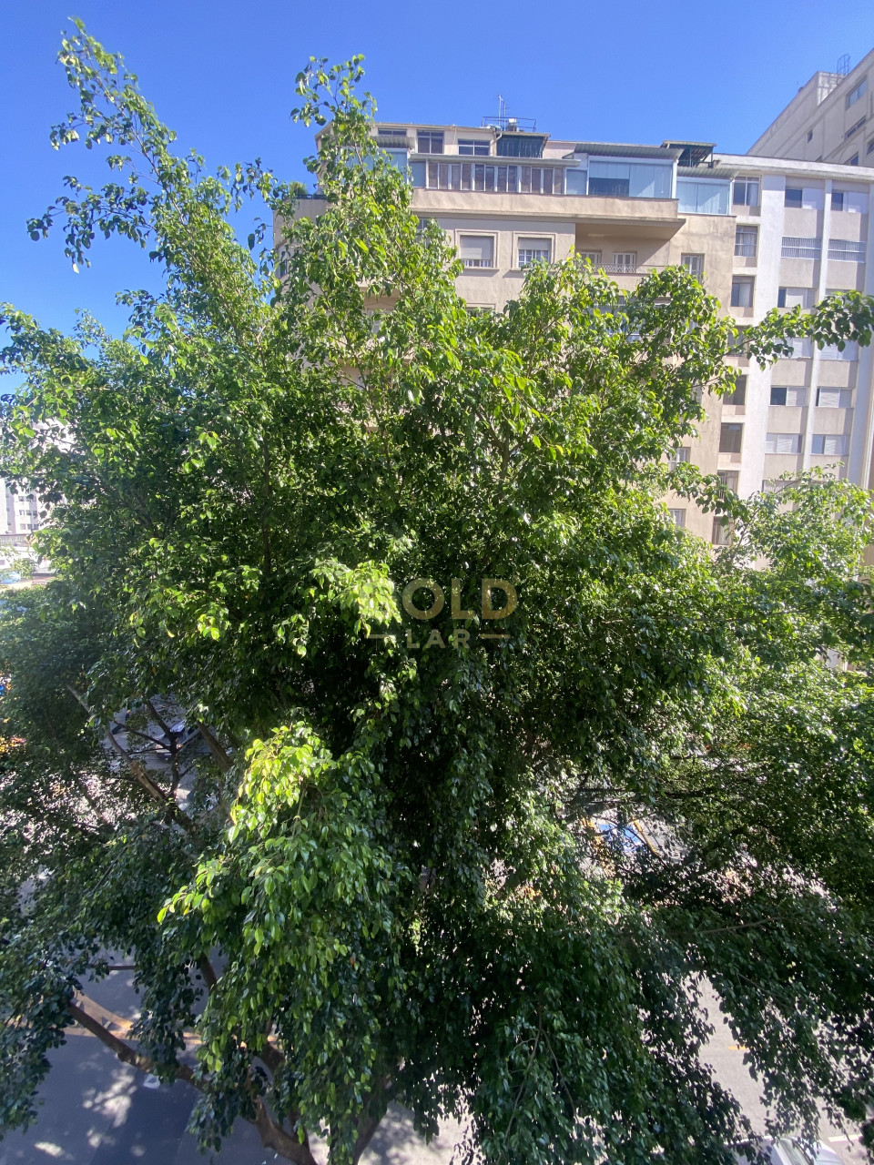 Imagens do imóveis Excelente apto no coração de Higienópolis na queridinha rua Veridiana