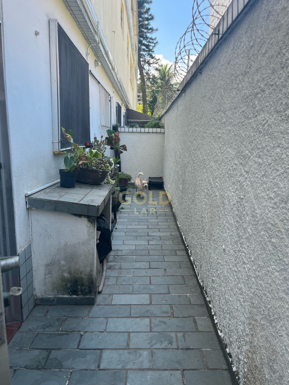 Imagens do imóveis Apartamento Á Venda Cond. Aida Giuzio Santos