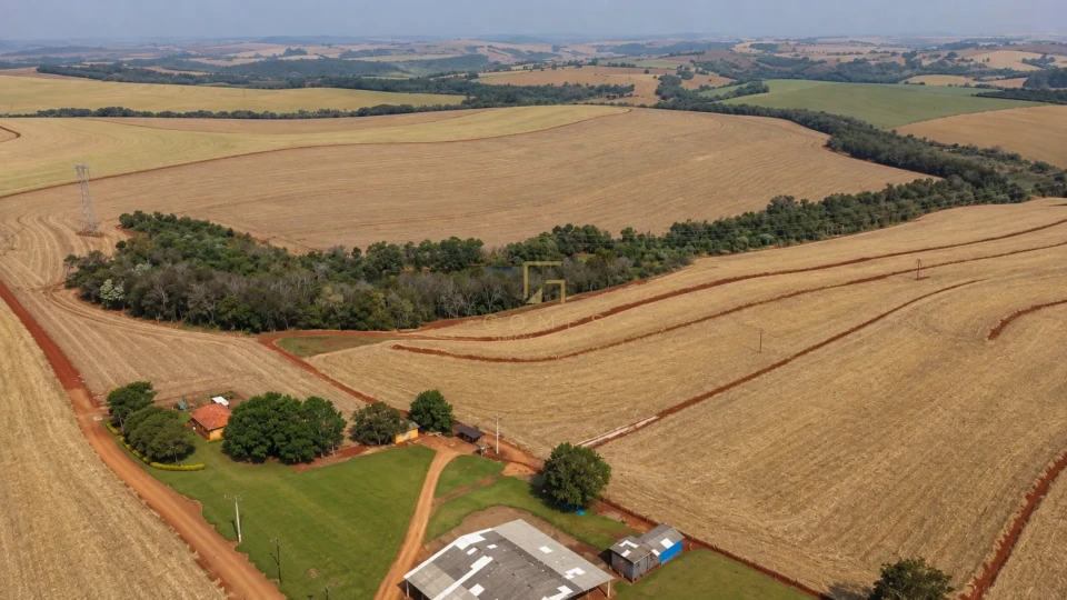 FAZENDA À VENDA –  102 ALQUEIRES EM GUARAVERA LONDRINA/PR