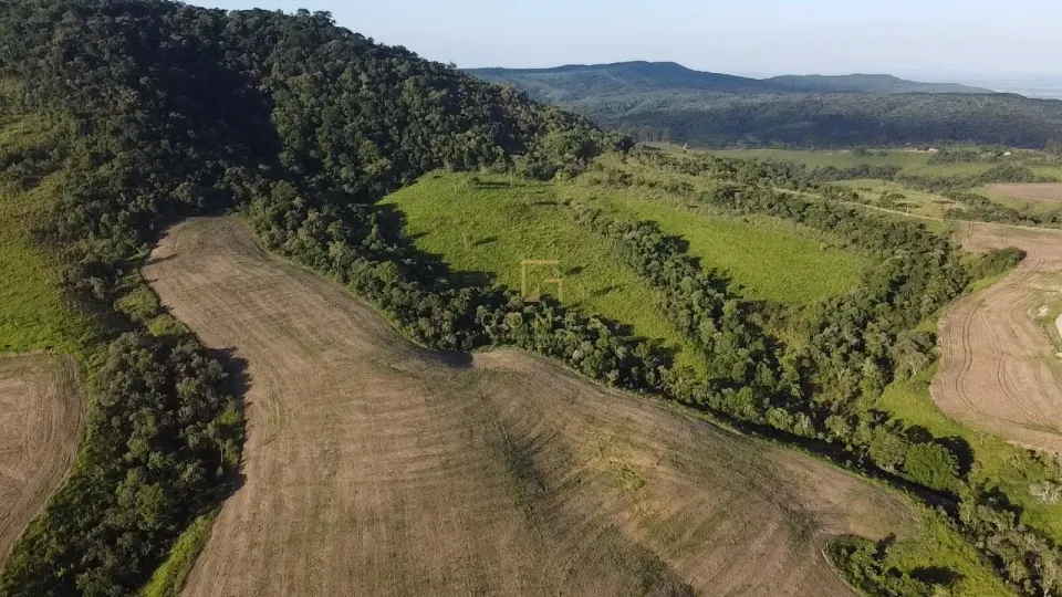 Imagens do imóveis FAZENDA À VENDA – CONGONHINHAS/PR