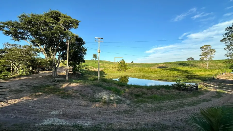 Imagens do imóveis FAZENDA À VENDA – CONGONHINHAS/PR