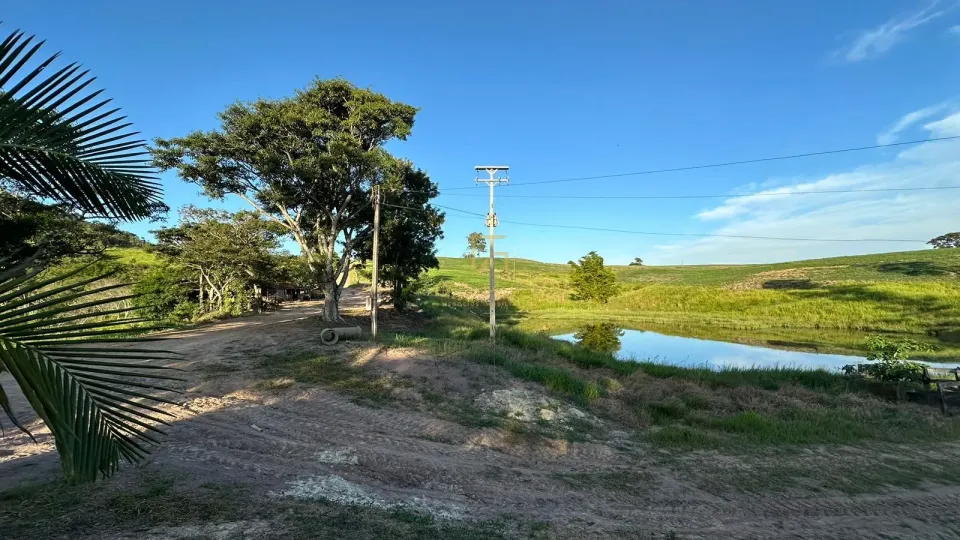 Imagens do imóveis FAZENDA À VENDA – CONGONHINHAS/PR