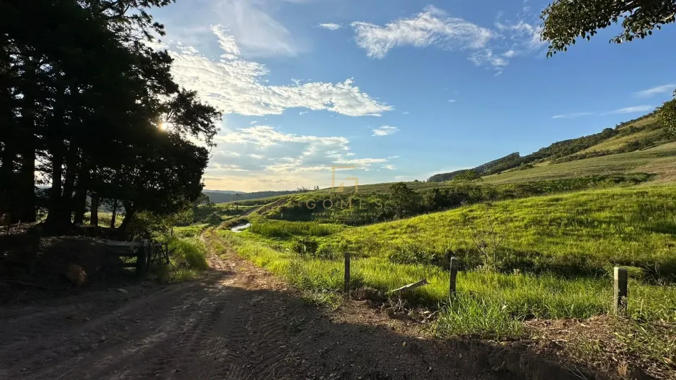 Imagens do imóveis FAZENDA À VENDA – CONGONHINHAS/PR