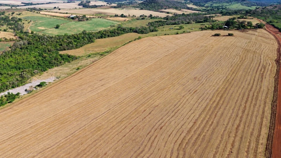 FAZENDA À VENDA – 110 ALQUEIRES EM CORNÉLIO PROCÓPIO/PR
