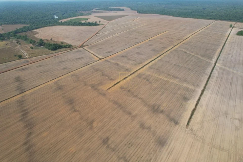 Imagens do imóveis Fazenda/Sítios/Chácaras À Venda Zona Rural Marcelândia