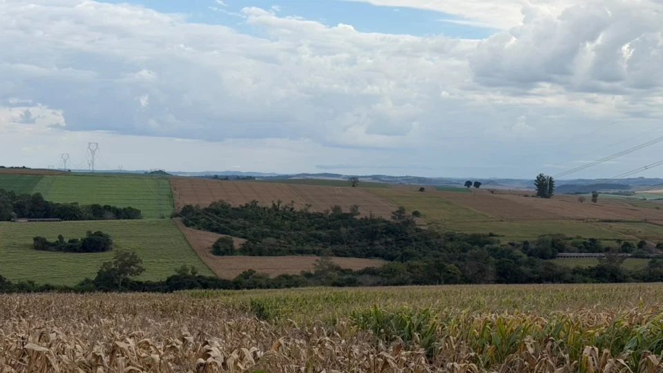 Fazenda/Sítios/Chácaras À Venda Zona Rural Assaí