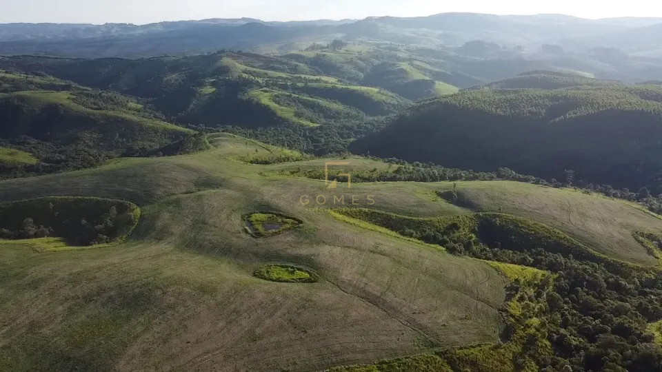 Imagens do imóveis FAZENDA À VENDA – CONGONHINHAS/PR