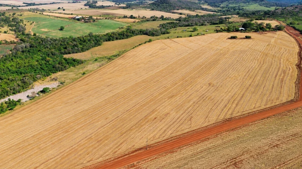FAZENDA À VENDA – 110 ALQUEIRES EM CORNÉLIO PROCÓPIO/PR