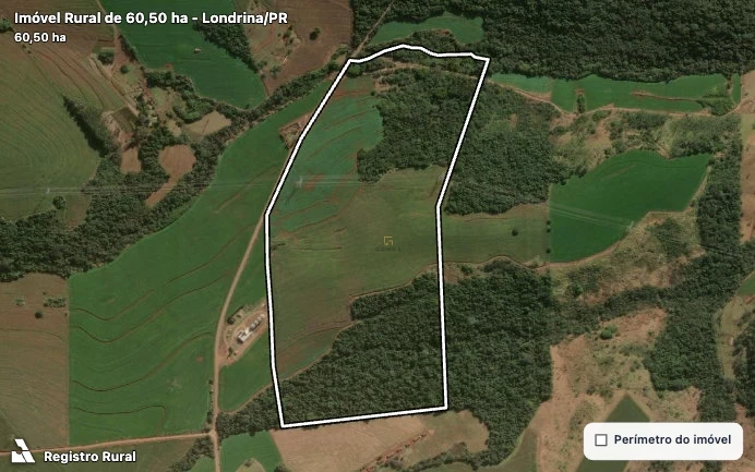Fazenda/Sítios/Chácaras À Venda São Luiz Londrina