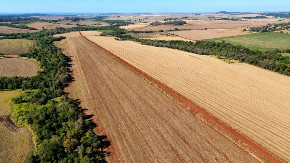 FAZENDA À VENDA – 110 ALQUEIRES EM CORNÉLIO PROCÓPIO/PR