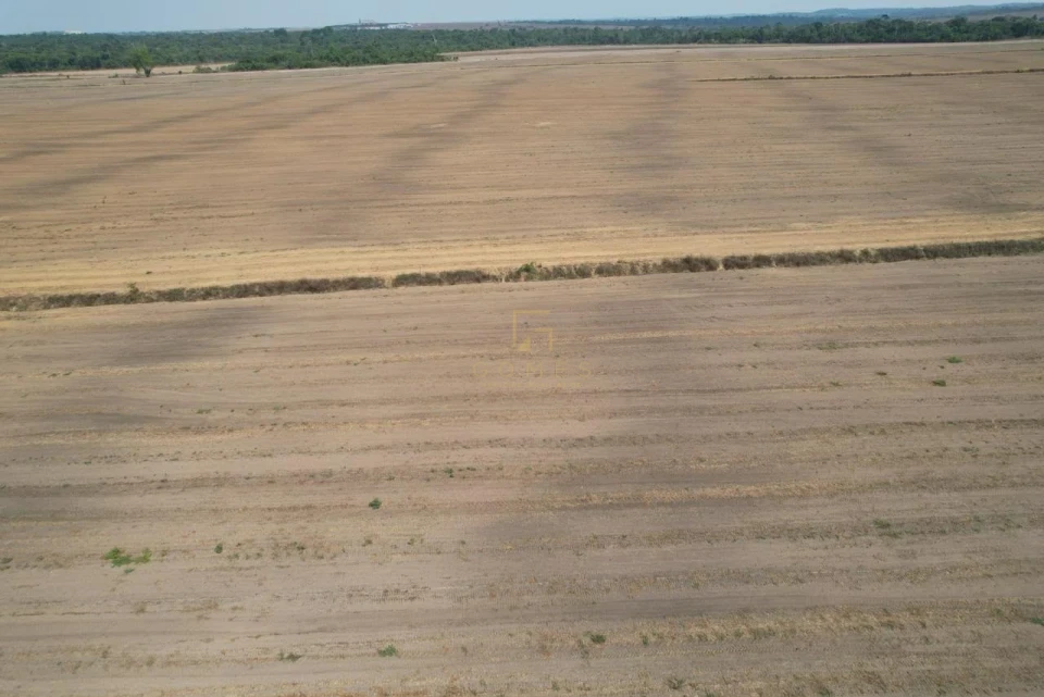 Imagens do imóveis Fazenda/Sítios/Chácaras À Venda Zona Rural Marcelândia