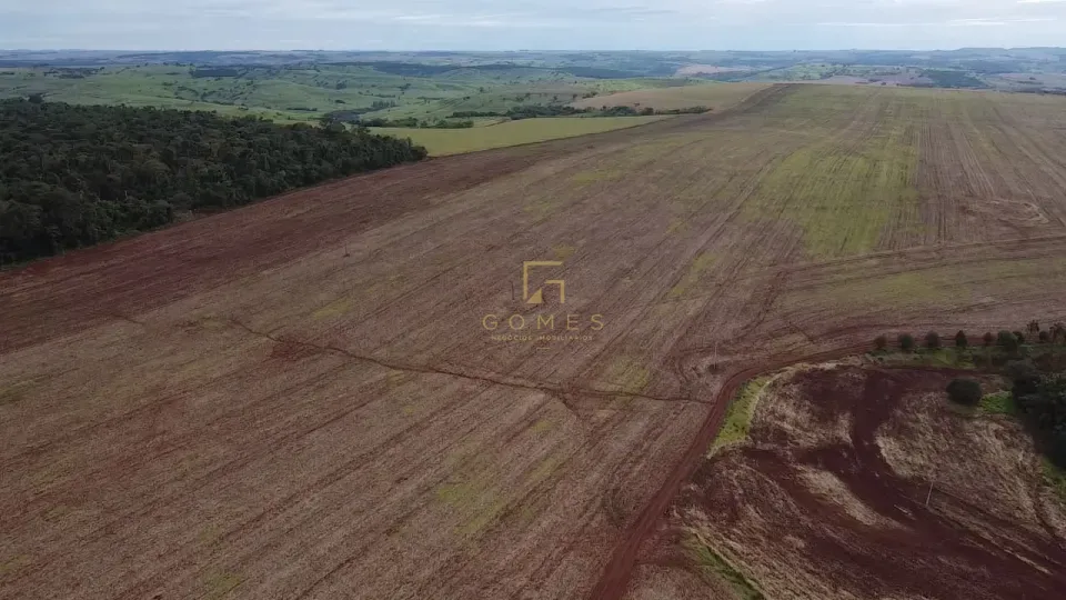 Imagens do imóveis FAZENDA À VENDA 85 ALQUEIRES – CORNÉLIO PROCÓPIO/PR