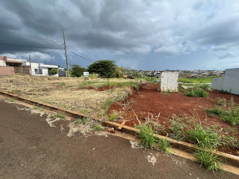 TERRENO PARA GEMINADA