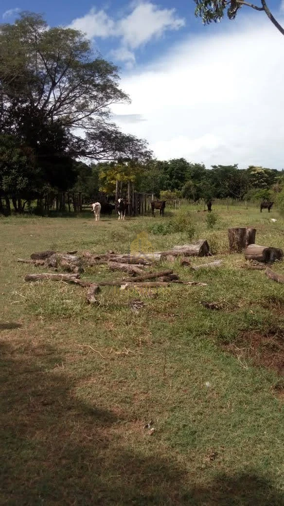 Imagens do imóveis Fazenda/Sítios/Chácaras À Venda Chacara Jaguapitã