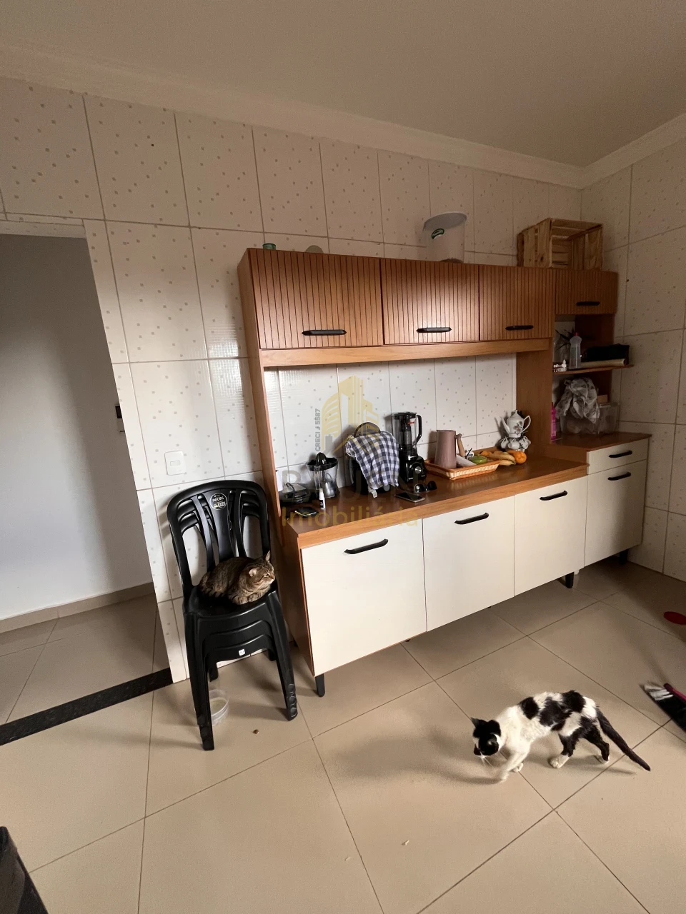 Imagens do imóveis Casa Liberdade