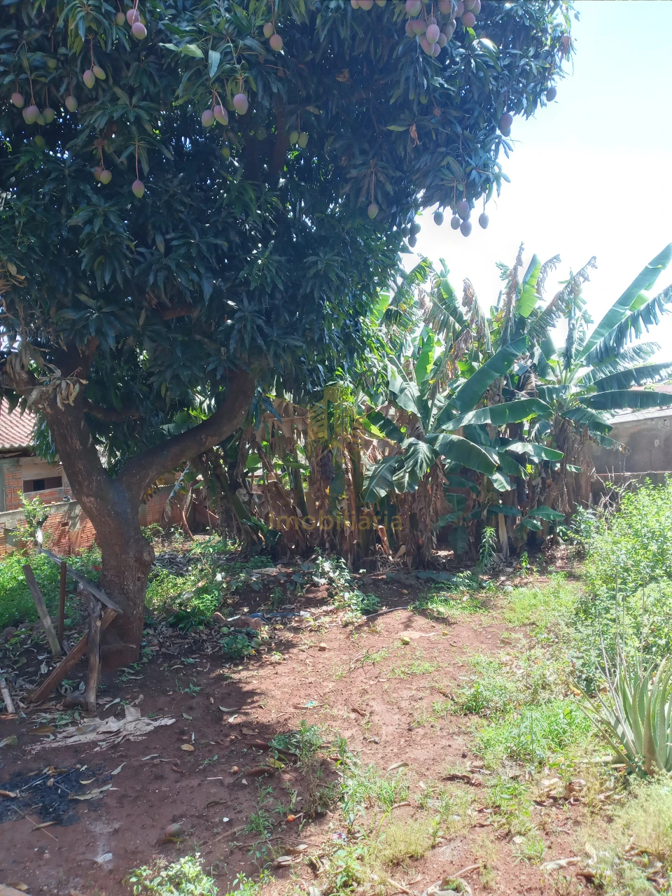 Imagens do imóveis CASA SÃO FRANCISCO - CENTRO